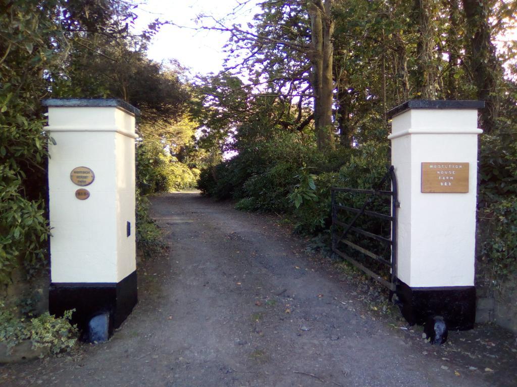 Westleigh House Farm Bed & Breakfast Bideford Exterior foto