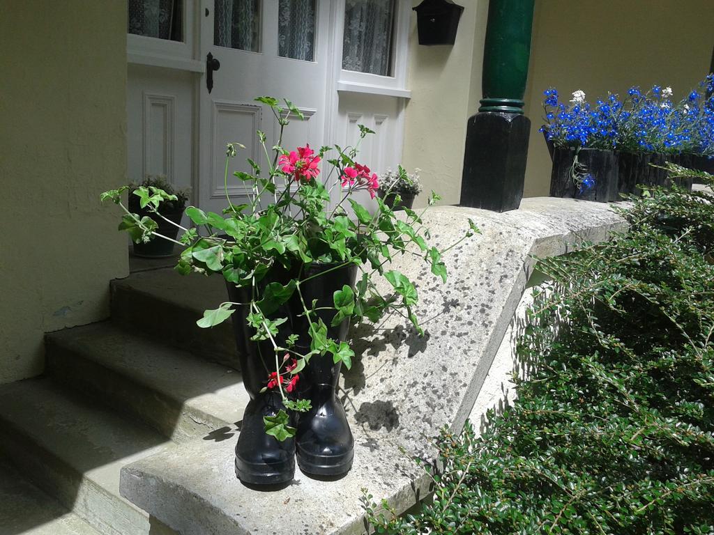 Westleigh House Farm Bed & Breakfast Bideford Cameră foto