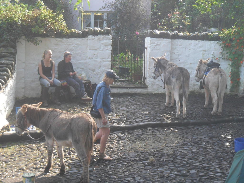 Westleigh House Farm Bed & Breakfast Bideford Exterior foto